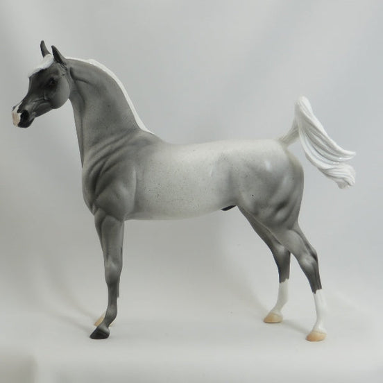 AMOS MOSES - Blue Roan Arabian LE3 5/15