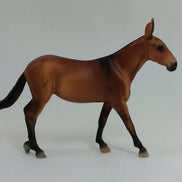 AUTUMN - OOAK Mule Chip with Dorsal Stripe