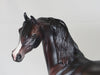 WHIPLASH - OOAK Dark Dapple Red Chestnut Arabian 2/15