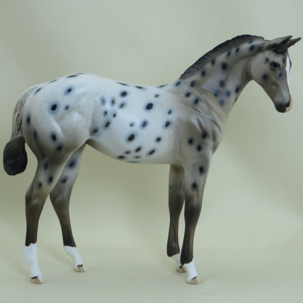 LITTLE DOTTY - Appaloosa with Ratty Mane Weanling LE7 3/15
