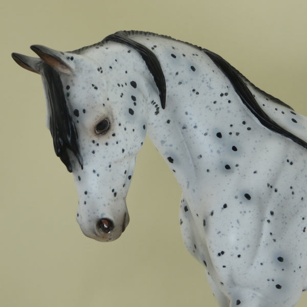 PARISIENNE - OOAK Appaloosa Thoroughbred with Long Mane 4/15