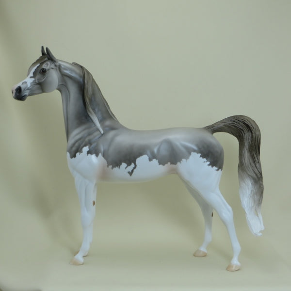 SUAMICO - OOAK Dapple Gray Splash Pinto Arabian 4/15