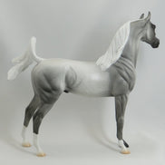 AMOS MOSES - Blue Roan Arabian LE3 5/15