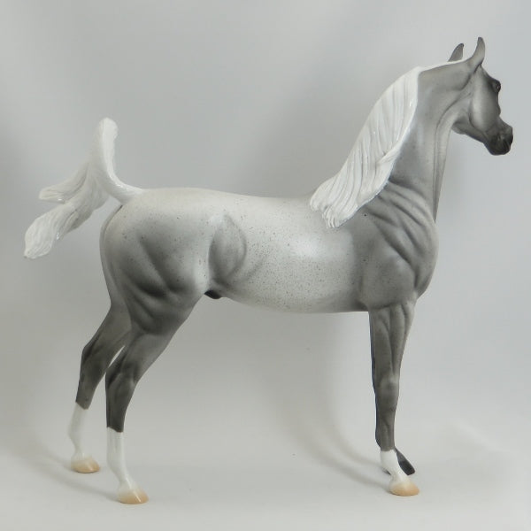 AMOS MOSES - Blue Roan Arabian LE3 5/15