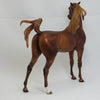 KENNEDY - OOAK Fiery  Dapple Chestnut Pinned Ear Arabian 2/15