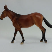 AUTUMN - OOAK Mule Chip with Dorsal Stripe