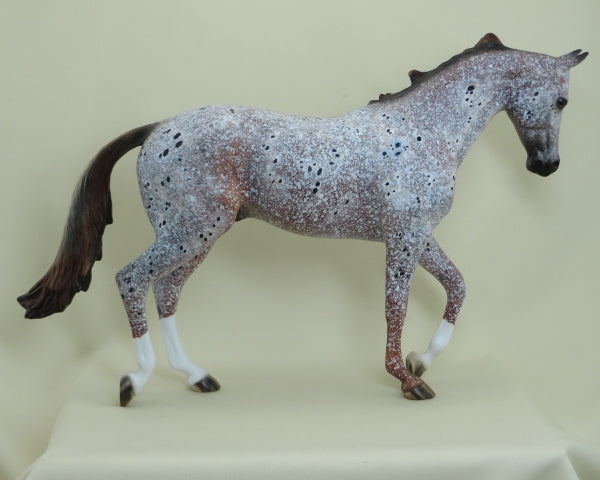 WINSTON - OOAK Marbled Appaloosa Thoroughbred - 4/15