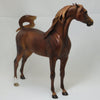 KENNEDY - OOAK Fiery  Dapple Chestnut Pinned Ear Arabian 2/15