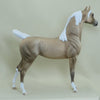 TRUE - OOAK Dapple Palomino Arabian 4/15