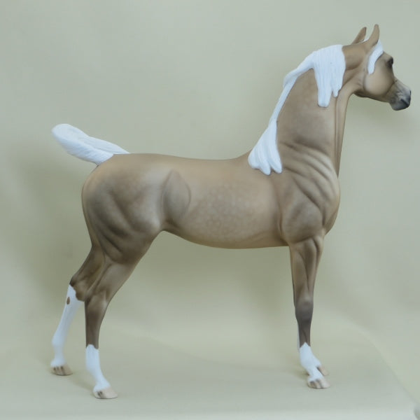 TRUE - OOAK Dapple Palomino Arabian 4/15