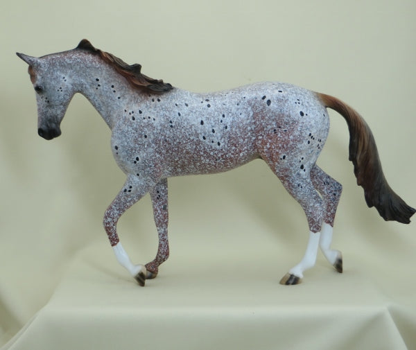 WINSTON - OOAK Marbled Appaloosa Thoroughbred - 4/15