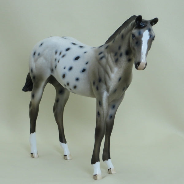 LITTLE DOTTY - Appaloosa with Ratty Mane Weanling LE7 3/15