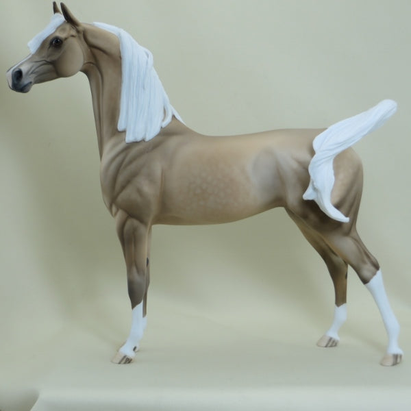 TRUE - OOAK Dapple Palomino Arabian 4/15