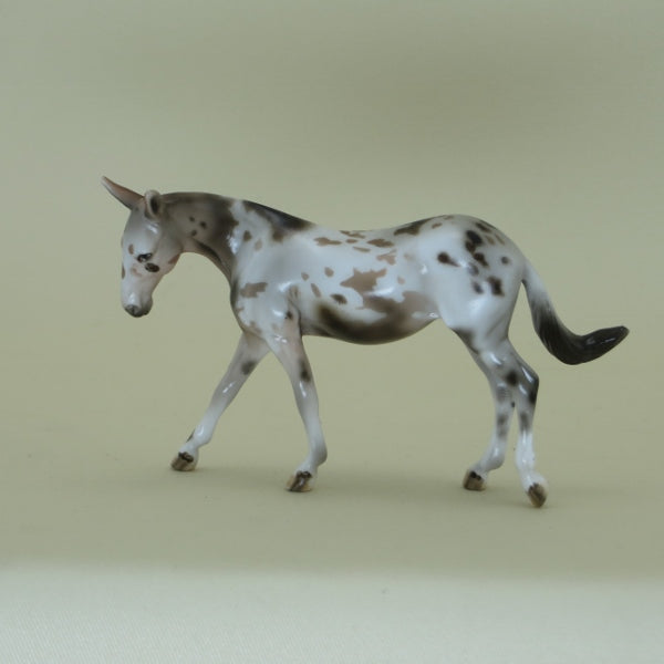 COUNTESS CHOCULA - OOAK Spotted Chestnut Mule Chip 4/15