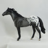 POTAWATOMI - OOAK Custom Appaloosa Spanish Mustang 4/15