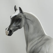 AMOS MOSES - Blue Roan Arabian LE3 5/15