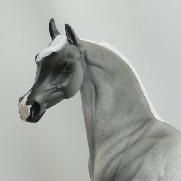 AMOS MOSES - Blue Roan Arabian LE3 5/15