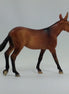 AUTUMN - OOAK Mule Chip with Dorsal Stripe