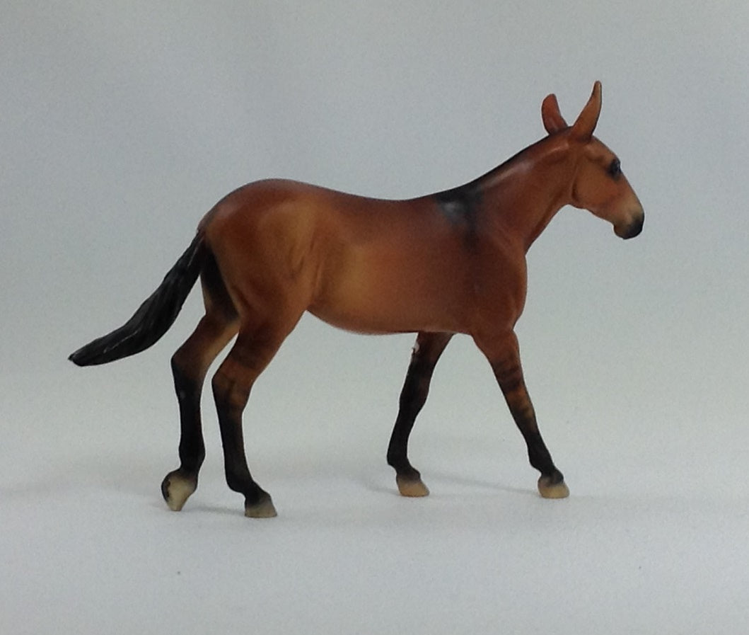 AUTUMN - OOAK Mule Chip with Dorsal Stripe