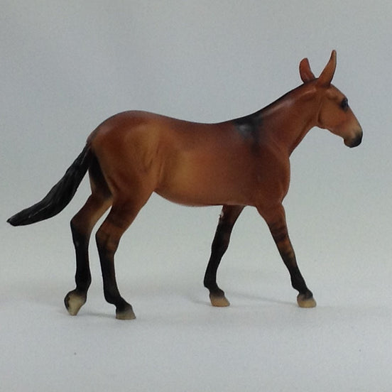 AUTUMN - OOAK Mule Chip with Dorsal Stripe