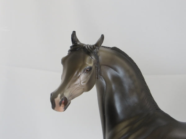 RENEWABLE ENERGY - Dapple Gray Arabian LE10 1/15