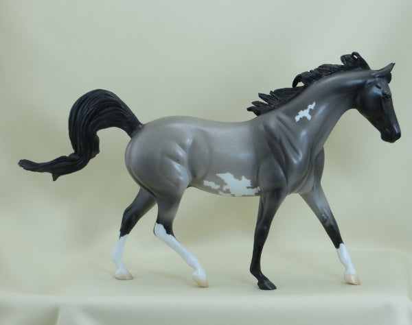 HEALY - OOAK Blue Roan Paint Pony 3/15