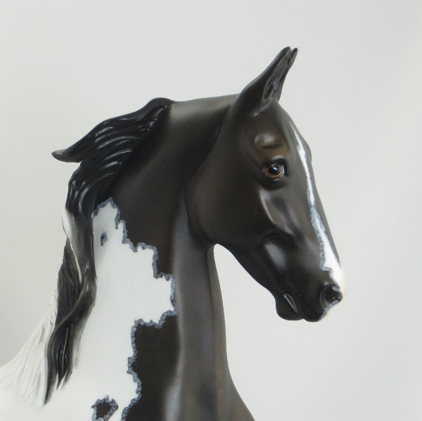 WAQUINI HOOK NOSE - OOAK Black &amp; White Mapped Pinto Saddlebred Model Horse - 5/15