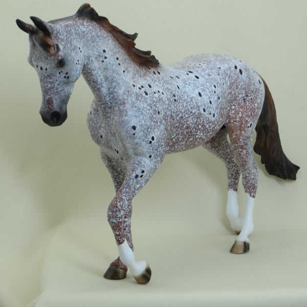 WINSTON - OOAK Marbled Appaloosa Thoroughbred - 4/15