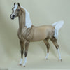 TRUE - OOAK Dapple Palomino Arabian 4/15