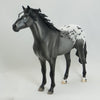 POTAWATOMI - OOAK Custom Appaloosa Spanish Mustang 4/15