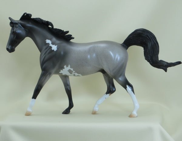 HEALY - OOAK Blue Roan Paint Pony 3/15