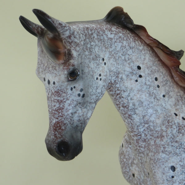 WINSTON - OOAK Marbled Appaloosa Thoroughbred - 4/15