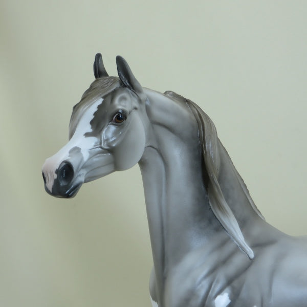 SUAMICO - OOAK Dapple Gray Splash Pinto Arabian 4/15