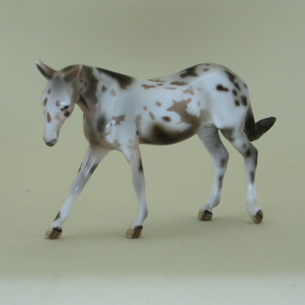 COUNTESS CHOCULA - OOAK Spotted Chestnut Mule Chip 4/15