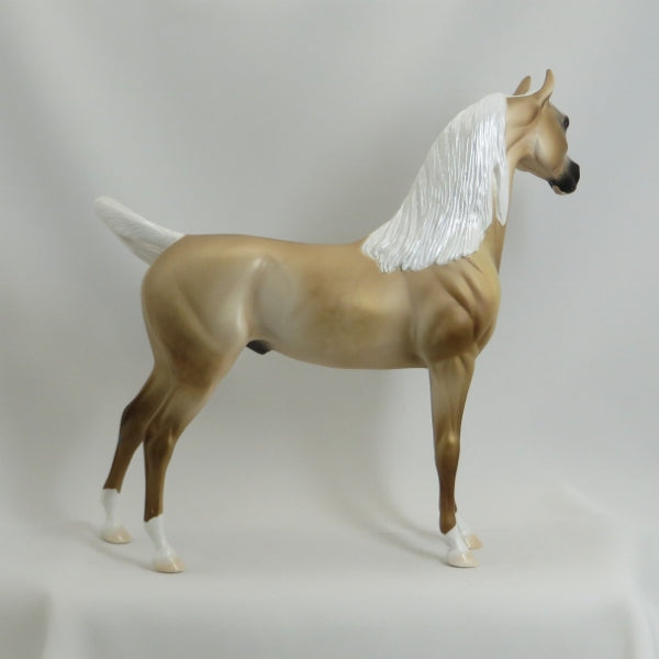 DAS DUTCHMAN - OOAK Pearly Golden Palomino Arabian 5/15