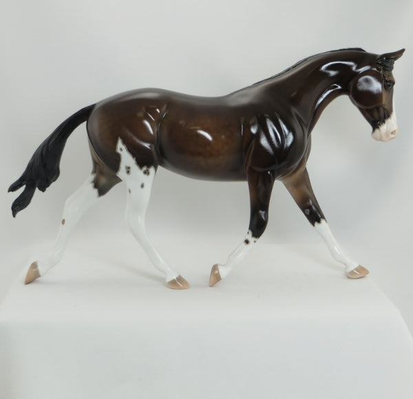 AS USUAL - OOAK Mapped Dapple Bay Palouse by D&#39;Arry Jone Frank - Gloss - 5/15