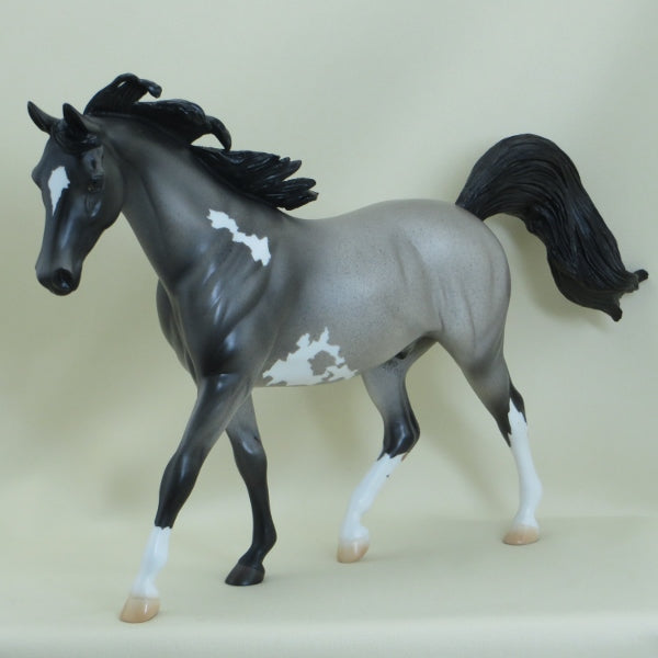 HEALY - OOAK Blue Roan Paint Pony 3/15