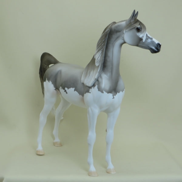 SUAMICO - OOAK Dapple Gray Splash Pinto Arabian 4/15