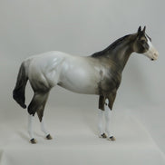 MONGO - OOAK Appaloosa Stock Horse Mare 4/15