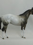 MONGO - OOAK Appaloosa Stock Horse Mare 4/15