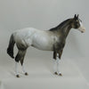 MONGO - OOAK Appaloosa Stock Horse Mare 4/15