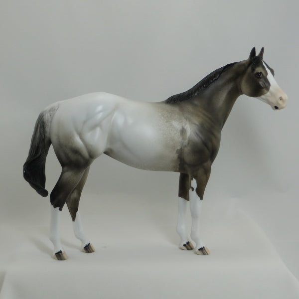 MONGO - OOAK Appaloosa Stock Horse Mare 4/15