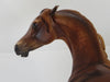 KENNEDY - OOAK Fiery  Dapple Chestnut Pinned Ear Arabian 2/15