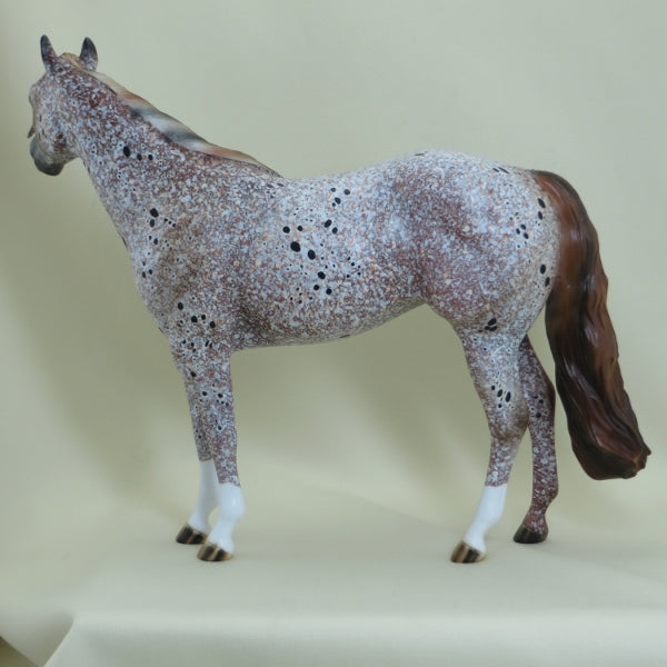 USA GOLD - OOAK Marble Appaloosa Stock Horse 4/15