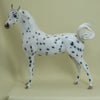 QUAKER OATS - OOAK Leopard Appaloosa Arabian 4/15