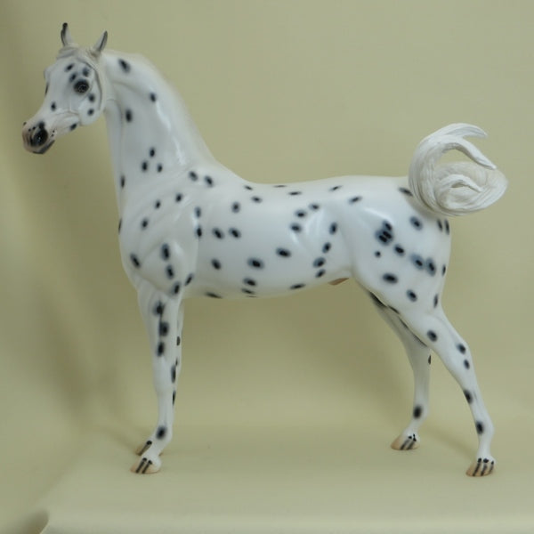 QUAKER OATS - OOAK Leopard Appaloosa Arabian 4/15