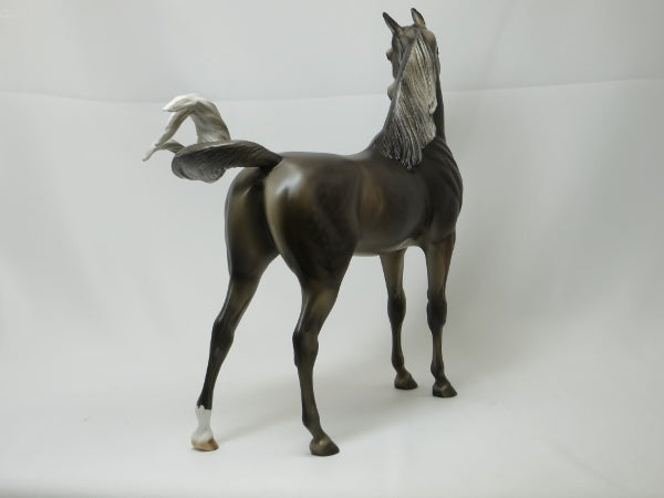 RENEWABLE ENERGY - Dapple Gray Arabian LE10 1/15