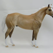 ADAMS - OOAK Dapple Palomino Stock Horse 2/15