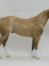 ADAMS - OOAK Dapple Palomino Stock Horse 2/15