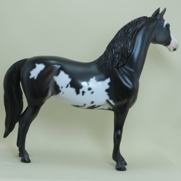 LA CROSSE - OOAK Black Overo Pinto Morgan with Mapping 4/15